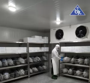 Harga cold storage Bengkulu Selatan